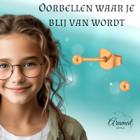 Bolletjes oorbellen &acirc;&euro;&ldquo; ros&Atilde;&copy;kleur &acirc;&euro;&ldquo; 3mm -