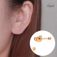 Bolletjes oorbellen &acirc;&euro;&ldquo; ros&Atilde;&copy;kleur &acirc;&euro;&ldquo; 2mm -