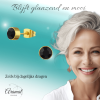 Goudkleurige Oorstekers 6mm - Zwart Kristal -
