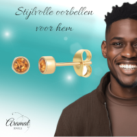 Goudkleurige Oorstekers 4mm - Bruin Oranje Kristal -