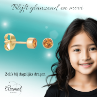 Goudkleurige Oorstekers 4mm - Bruin Oranje Kristal -
