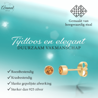 Goudkleurige Oorstekers 4mm - Bruin Oranje Kristal -