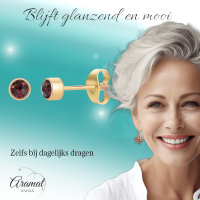 Goudkleurige Oorstekers 4mm - Paars Kristal -