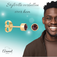 Goudkleurige Oorstekers 4mm - Paars Kristal -