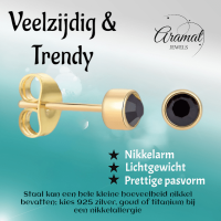Goudkleurige Oorstekers 4mm - Zwart Kristal -