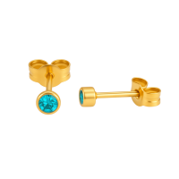 Stalen Aqua Blauwe Kristal Oorbellen 3mm -