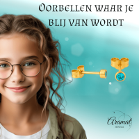 Stalen Aqua Blauwe Kristal Oorbellen 3mm -