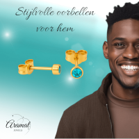 Stalen Aqua Blauwe Kristal Oorbellen 3mm -