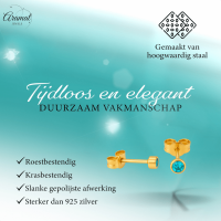 Stalen Aqua Blauwe Kristal Oorbellen 3mm -