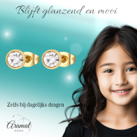 Goudkleurige Stalen Kristallen Oorbellen 6mm -