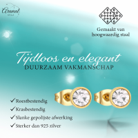 Goudkleurige Stalen Kristallen Oorbellen 6mm -