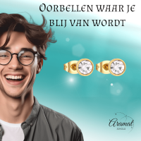 Goudkleurige Stalen Kristallen Oorbellen 6mm -