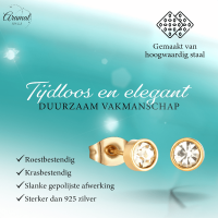 Goudkleurige Stalen Kristallen Oorbellen 5mm -
