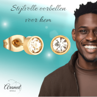 Goudkleurige Stalen Kristallen Oorbellen 5mm -