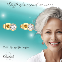 Goudkleurige Stalen Kristallen Oorbellen 4mm -