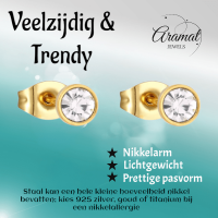 Goudkleurige Stalen Kristallen Oorbellen 4mm -