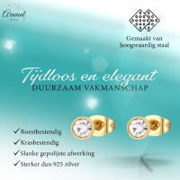 Goudkleurige Stalen Kristallen Oorbellen 4mm -