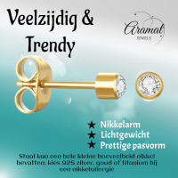 Stalen Kristallen Oorbellen - Goudkleur - 3mm -