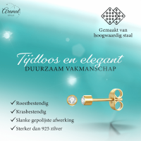Stalen Kristallen Oorbellen - Goudkleur - 3mm -
