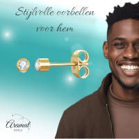 Stalen Kristallen Oorbellen - Goudkleur - 3mm -