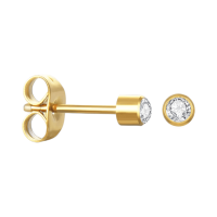 Stalen Kristallen Oorbellen - Goudkleur - 3mm -