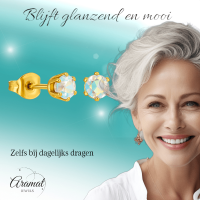 Goudkleurige AB zirkonia oorbellen &acirc;&euro;&ldquo; 5 mm -