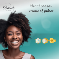 Goudkleurige AB zirkonia oorbellen &acirc;&euro;&ldquo; 5 mm -