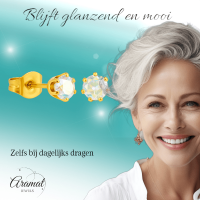 Goudkleurige AB zirkonia oorbellen &acirc;&euro;&ldquo; 4 mm -