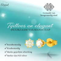 Goudkleurige AB zirkonia oorbellen &acirc;&euro;&ldquo; 4 mm -