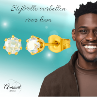Goudkleurige AB zirkonia oorbellen &acirc;&euro;&ldquo; 4 mm -
