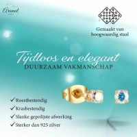 Mini oorbellen met AB zirkonia &acirc;&euro;&ldquo; 2 mm -
