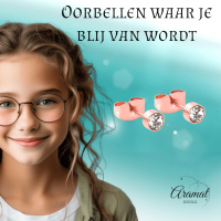 Ros&Atilde;&copy;kleurige kristallen oorstekers &acirc;&euro;&ldquo; 4 mm -