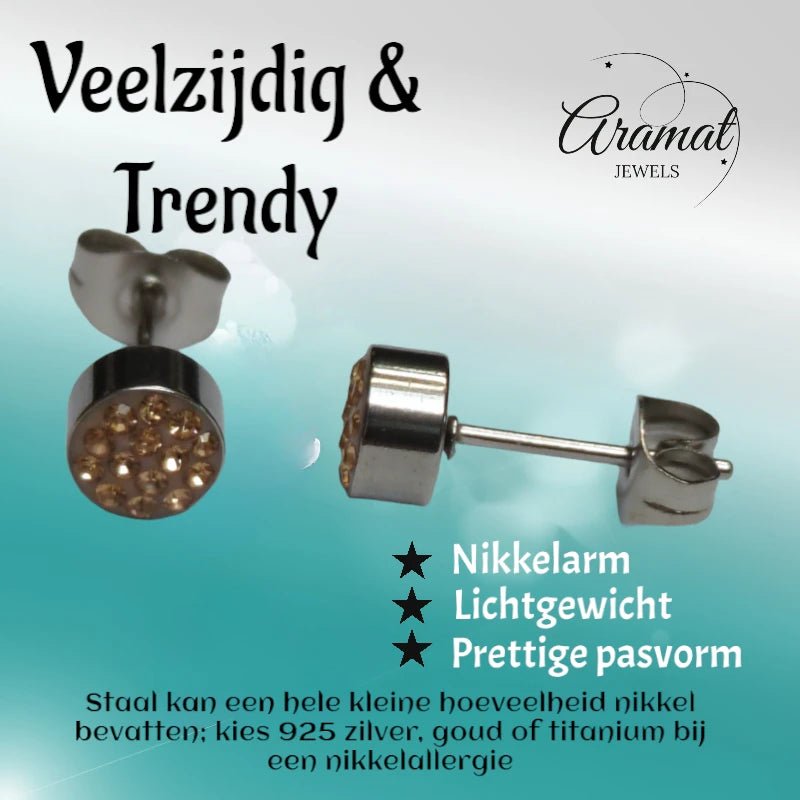 Zilverkleurige oorstekers met champagne kristal &acirc;&euro;&ldquo; 6 mm -
