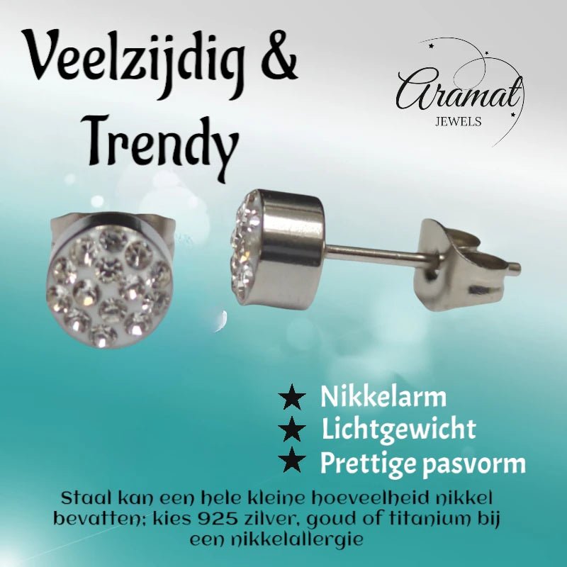 Zilverkleurige oorstekers met transparant kristal &acirc;&euro;&ldquo; 6 mm -