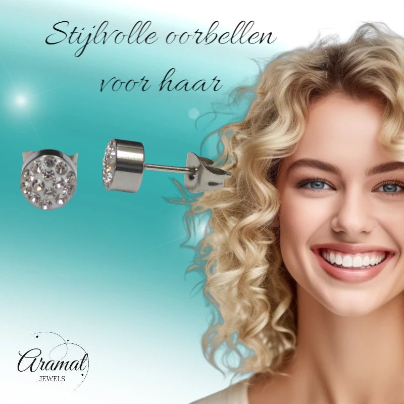 Zilverkleurige oorstekers met transparant kristal &acirc;&euro;&ldquo; 6 mm -