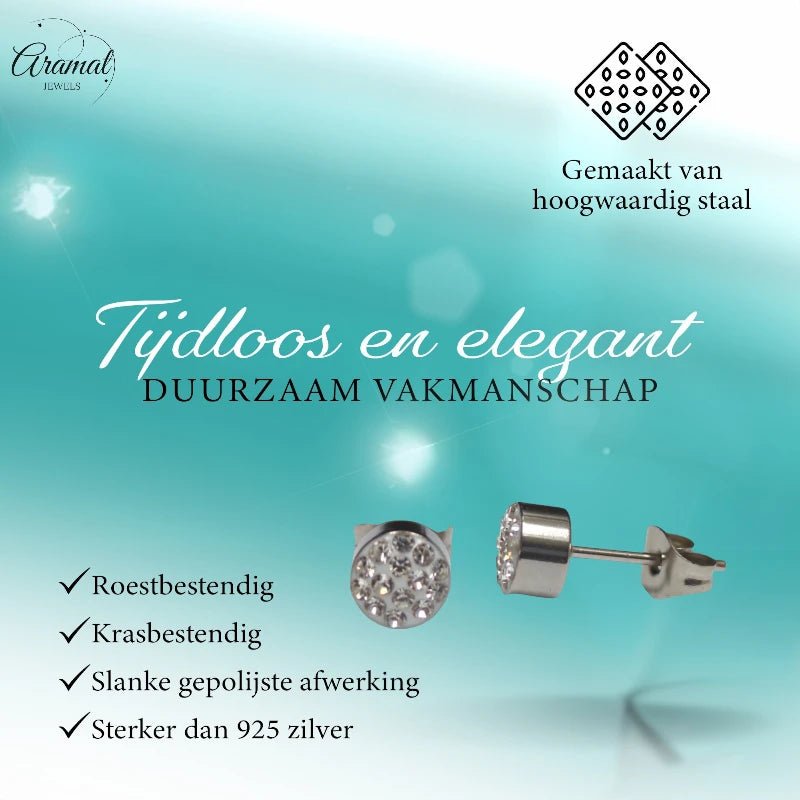 Zilverkleurige oorstekers met transparant kristal &acirc;&euro;&ldquo; 6 mm -