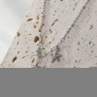Zilverkleurige bedelketting met zeester, schelp & zirkonia &acirc;&euro;&ldquo; 40+5 cm - Dames