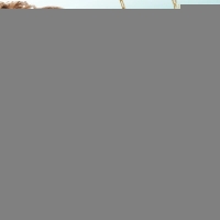 Goudkleurige damesketting met parel en bedels &acirc;&euro;&ldquo; 45+5 cm - Dames