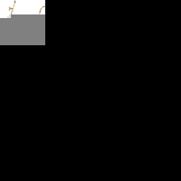 Goudkleurige damesketting met parel & zee-bedels &acirc;&euro;&ldquo; 45 cm - Dames