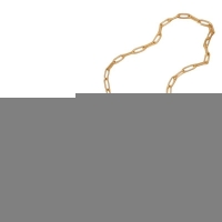 Goudkleurige ketting met verwisselbare bedels &acirc;&euro;&ldquo; 45 cm - Dames