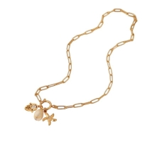 Goudkleurige ketting met verwisselbare bedels &acirc;&euro;&ldquo; 45 cm - Dames