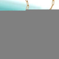 Goudkleurige ketting met verwisselbare bedels &acirc;&euro;&ldquo; 45 cm - Dames