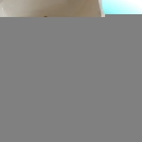 Goudkleurige damesketting met schelp & zirkonia &acirc;&euro;&ldquo; 40+5 cm - Dames