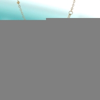 Goudkleurige damesketting met schelp & zirkonia &acirc;&euro;&ldquo; 40+5 cm - Dames