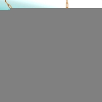 Goudkleurige damesketting met schelp- en parelbedels - Dames