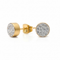 Transparante kristallen oorstekers 6 mm &acirc;&euro;&ldquo; goudkleurig -