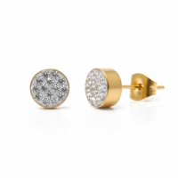 Transparante kristallen oorstekers 6 mm &acirc;&euro;&ldquo; goudkleurig -