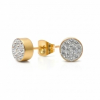 Transparante kristallen oorstekers 6 mm &acirc;&euro;&ldquo; goudkleurig -