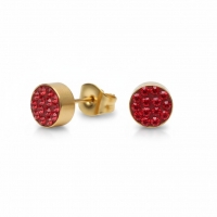 Rode kristallen oorstekers 6 mm &acirc;&euro;&ldquo; goudkleurig -
