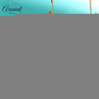 Goudkleurige bedelketting met parel & zeethema - Dames